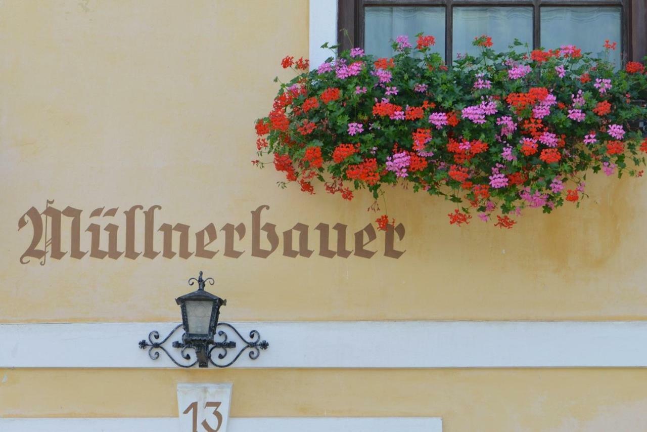Muellnerbauer Apartment Napplach Екстериор снимка